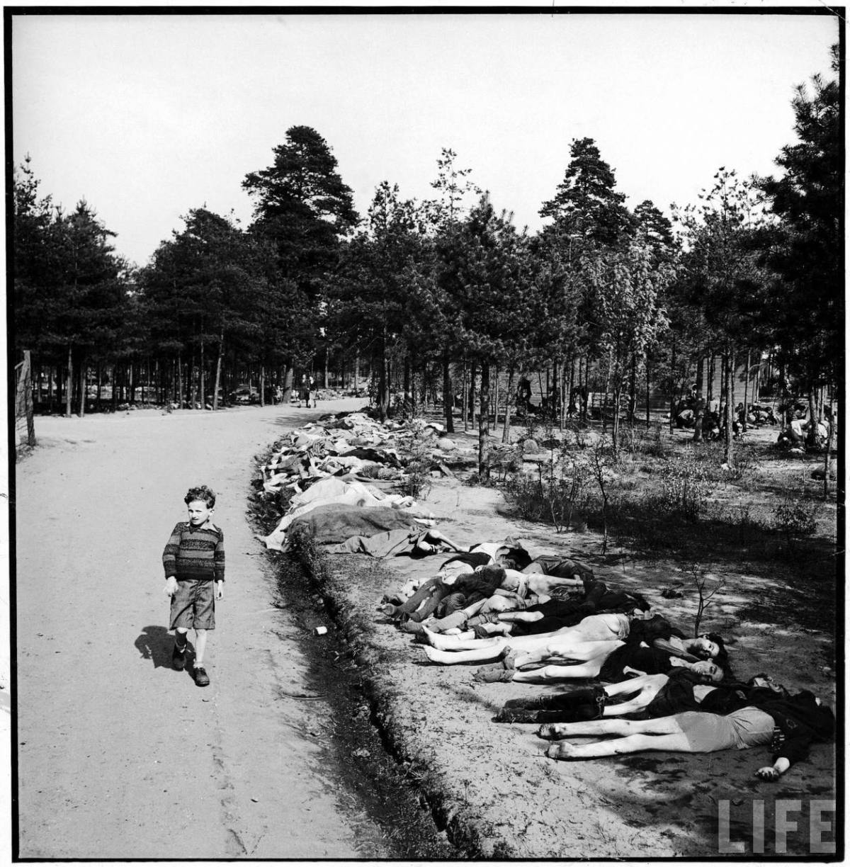 фото для записи Освобождение концентрационного лагеря Берген-Бельзен