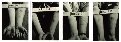фото для записи В поисках универсального солдата, 1941 год, США