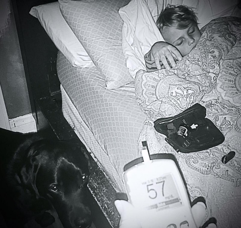 фото для записи Собака вовремя забила тревогу, иначе ее сын мог умереть