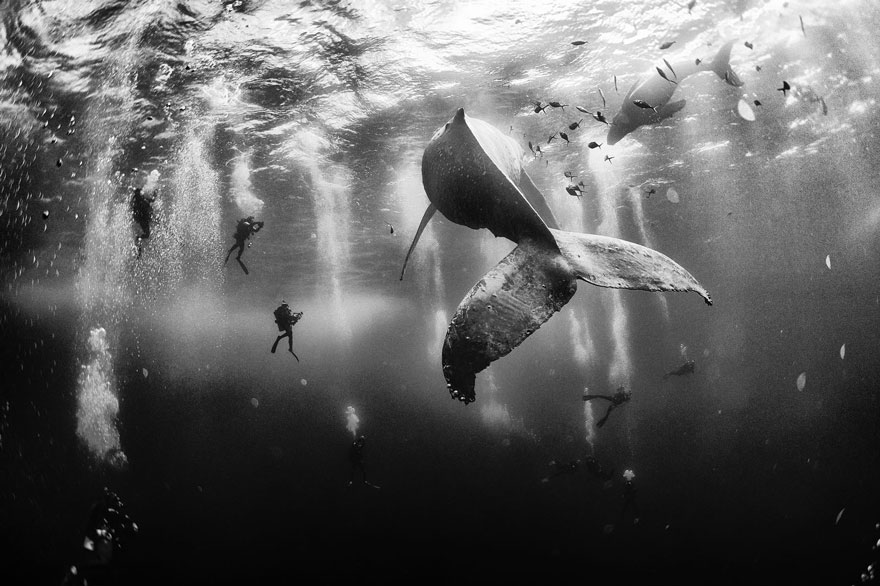фото для записи Победители в конкурсе National Geographic Traveler Photo Contest